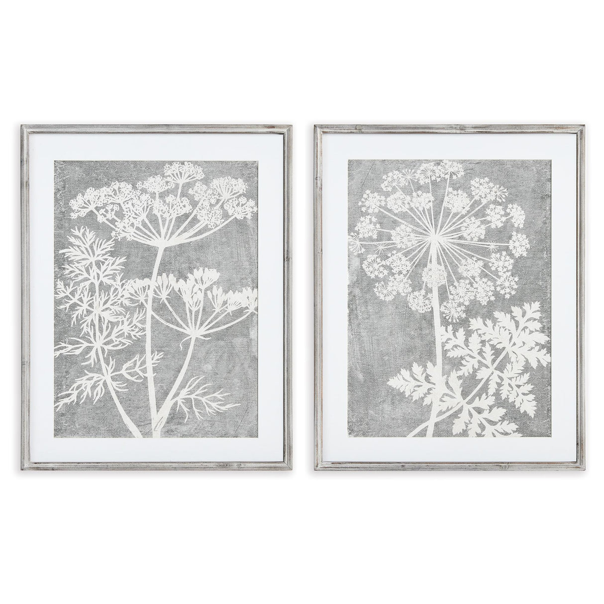 Napa  BLOOMING QUEEN ANNE'S LACE PRINTS, SET OF 2