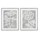 Napa  BLOOMING QUEEN ANNE'S LACE PRINTS, SET OF 2