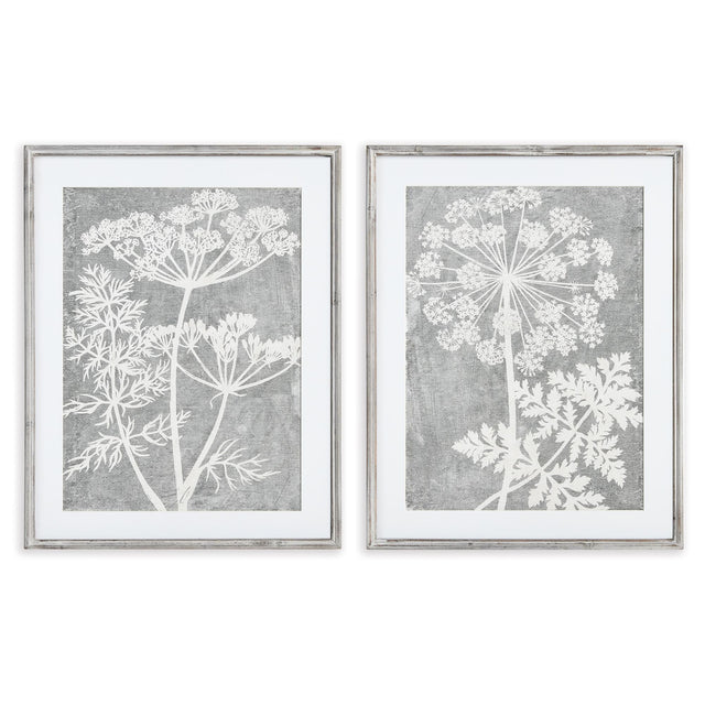 Napa  BLOOMING QUEEN ANNE'S LACE PRINTS, SET OF 2