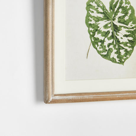 Napa  LEAF CUTTINGS PETITE PRINTS, SET OF 3