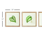Napa  LEAF CUTTINGS PETITE PRINTS, SET OF 3