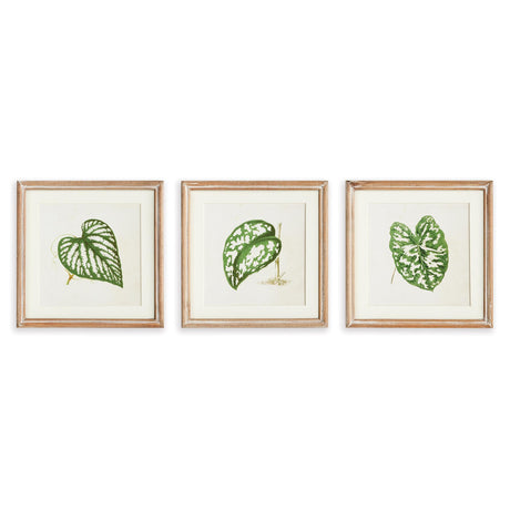 Napa  LEAF CUTTINGS PETITE PRINTS, SET OF 3