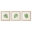 Napa  LEAF CUTTINGS PETITE PRINTS, SET OF 3