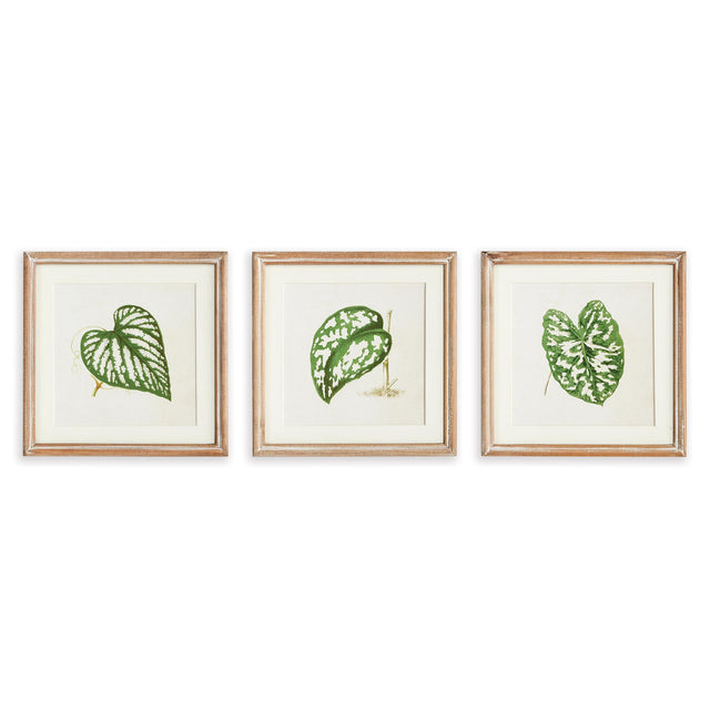 Napa  LEAF CUTTINGS PETITE PRINTS, SET OF 3