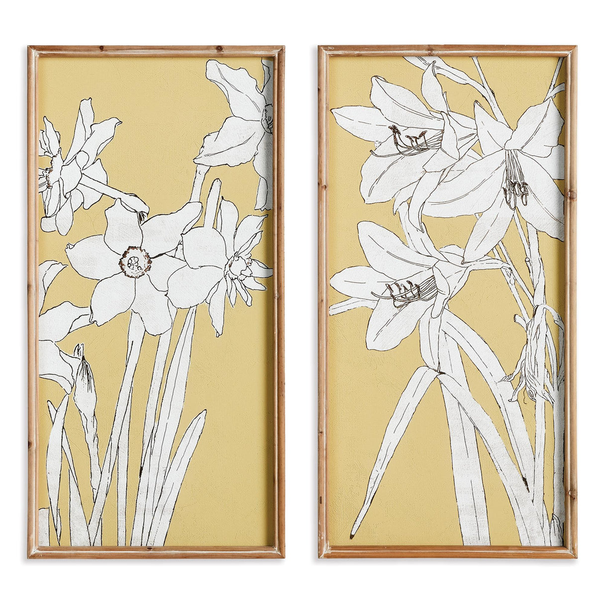 Napa  FLOWERING AMARYLLIS PRINTS, SET OF 2