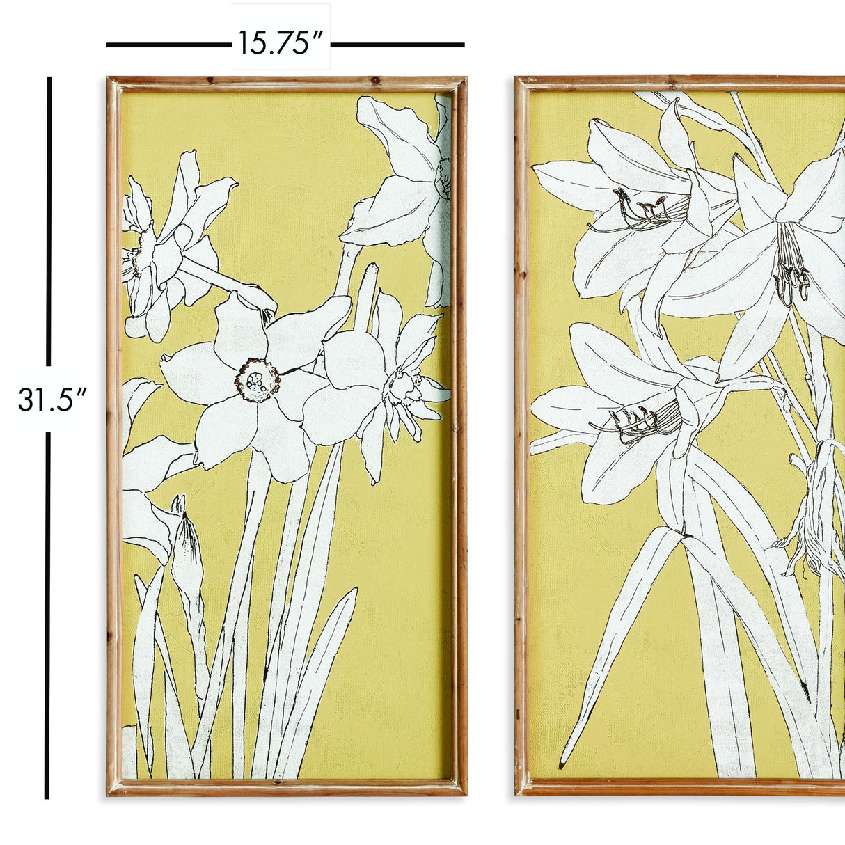 Napa  FLOWERING AMARYLLIS PRINTS, SET OF 2