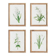 Napa  GARDEN BLOOM PRINTS, SET OF 4