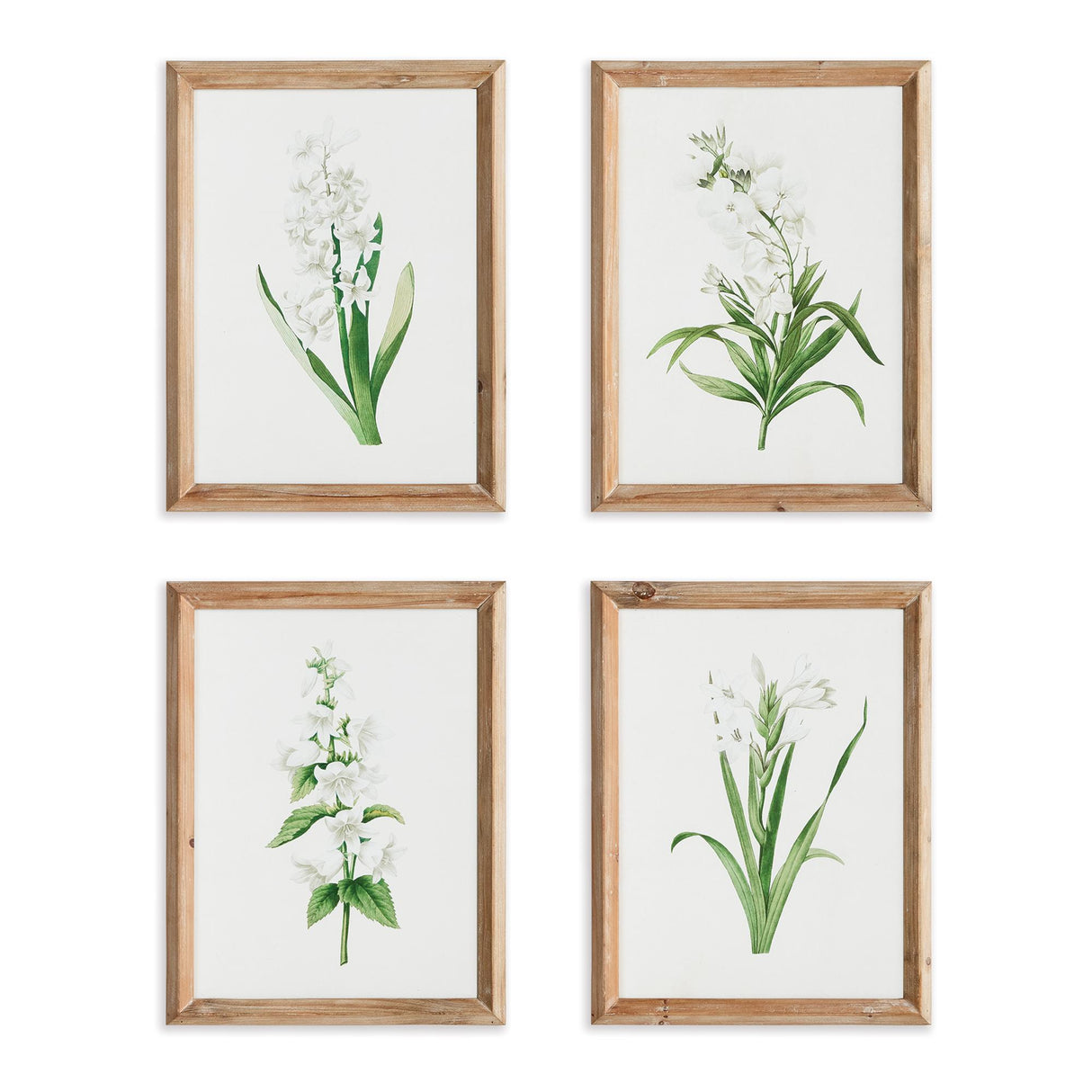 Napa  GARDEN BLOOM PRINTS, SET OF 4