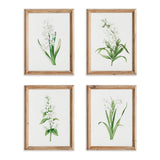 Napa  GARDEN BLOOM PRINTS, SET OF 4