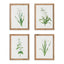 Napa  GARDEN BLOOM PRINTS, SET OF 4