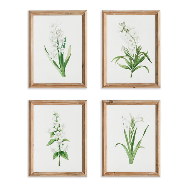 Napa  GARDEN BLOOM PRINTS, SET OF 4