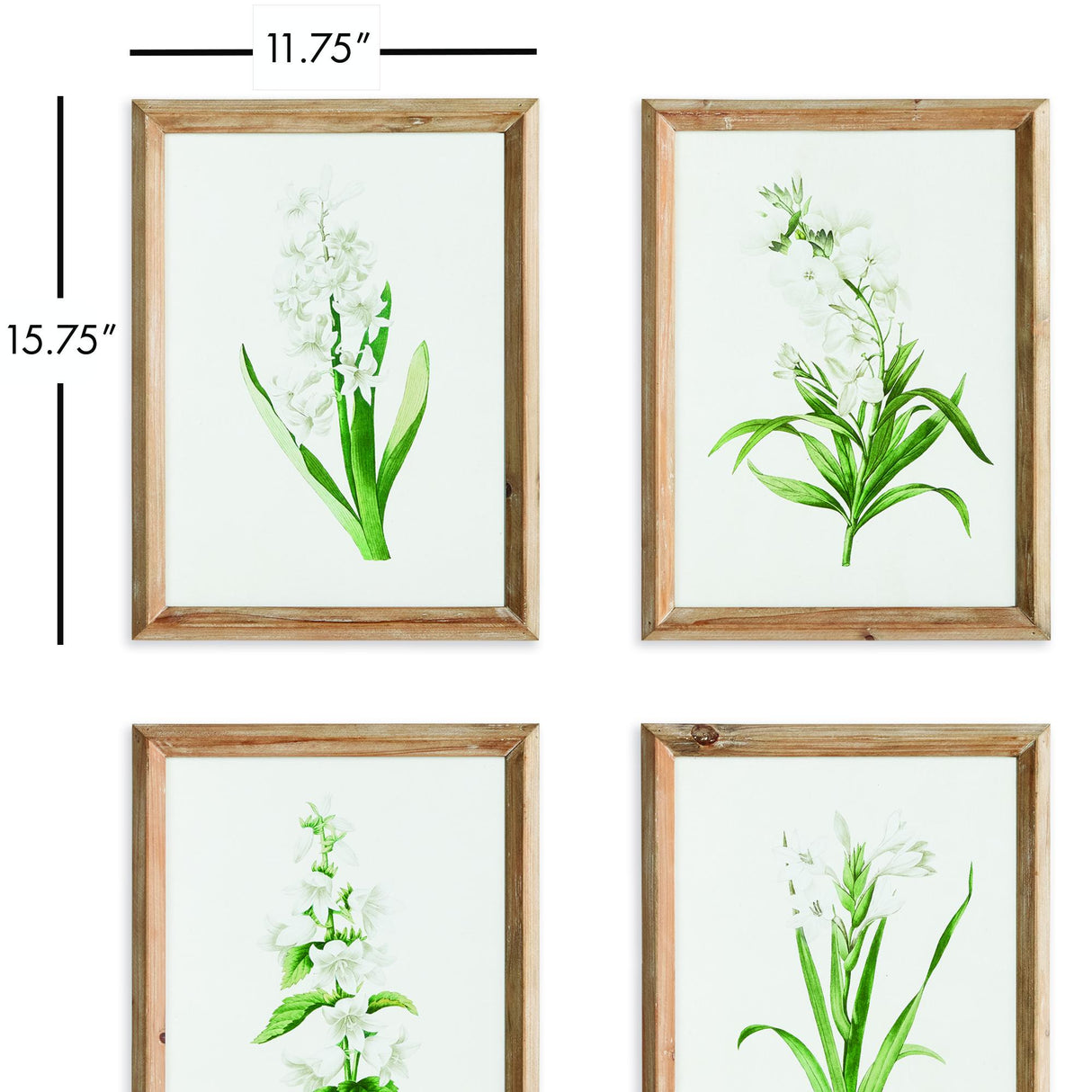 Napa  GARDEN BLOOM PRINTS, SET OF 4