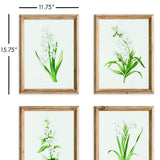 Napa  GARDEN BLOOM PRINTS, SET OF 4