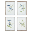 Napa  BLUE BIRDS PRINTS, SET OF 4