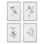 Napa  BLUE BIRDS PRINTS, SET OF 4
