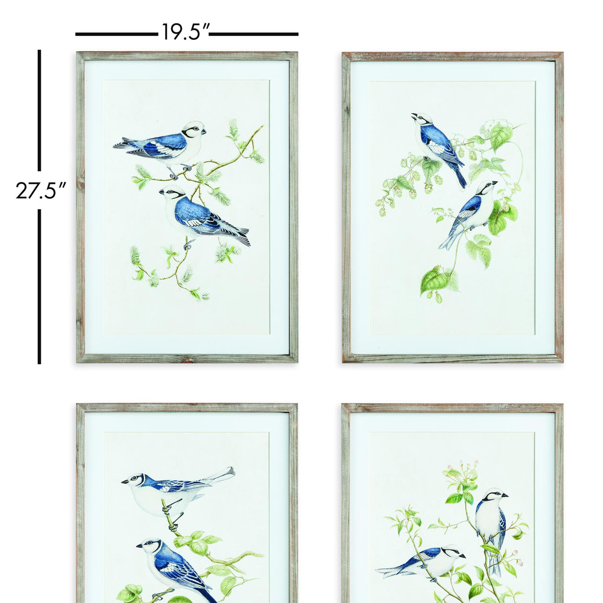 Napa  BLUE BIRDS PRINTS, SET OF 4