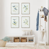 Napa  BLUE BIRDS PRINTS, SET OF 4