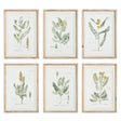 Napa  MID-SUMMER BLOOMS PRINTS, SET OF 6