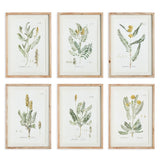 Napa  MID-SUMMER BLOOMS PRINTS, SET OF 6