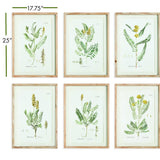 Napa  MID-SUMMER BLOOMS PRINTS, SET OF 6