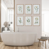 Napa  MID-SUMMER BLOOMS PRINTS, SET OF 6