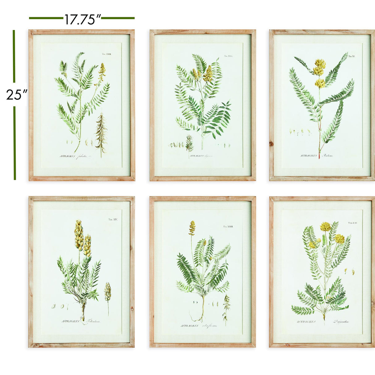 Napa Whitewashed/Yellow Mid-Summer Blooms Prints, Set Of 6