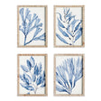 Napa  MARINE PRINTS, SET OF 4