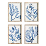 Napa  MARINE PRINTS, SET OF 4
