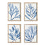 Napa  MARINE PRINTS, SET OF 4