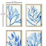 Napa  MARINE PRINTS, SET OF 4