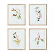 Napa  PLAYFUL HUMMINGBIRD PRINTS, SET OF 4