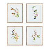 Napa  PLAYFUL HUMMINGBIRD PRINTS, SET OF 4