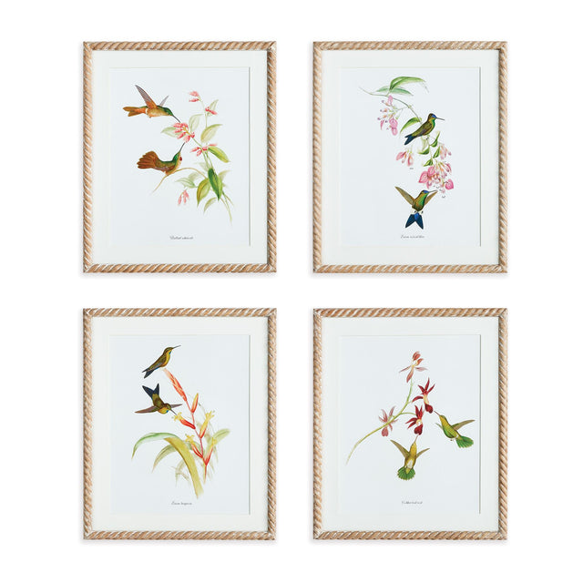 Napa  PLAYFUL HUMMINGBIRD PRINTS, SET OF 4