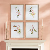 Napa  PLAYFUL HUMMINGBIRD PRINTS, SET OF 4