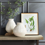 Napa Includes mat STRUCTURAL FERN STUDY, SET OF 4