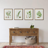 Napa Includes mat STRUCTURAL FERN STUDY, SET OF 4