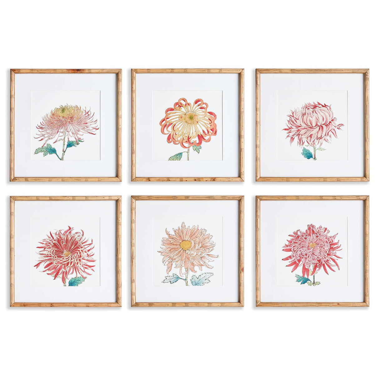 Napa Includes mat COLORFUL CHRYSANTHEMUM PRINTS, SET OF 6