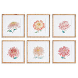 Napa Includes mat COLORFUL CHRYSANTHEMUM PRINTS, SET OF 6