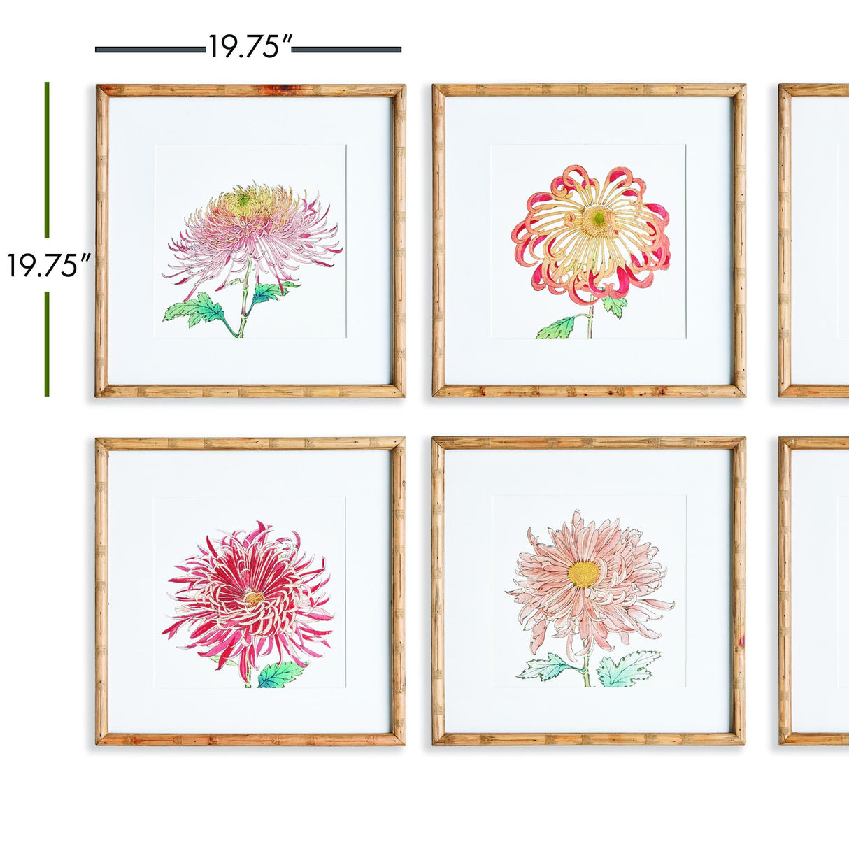 Napa Includes mat COLORFUL CHRYSANTHEMUM PRINTS, SET OF 6