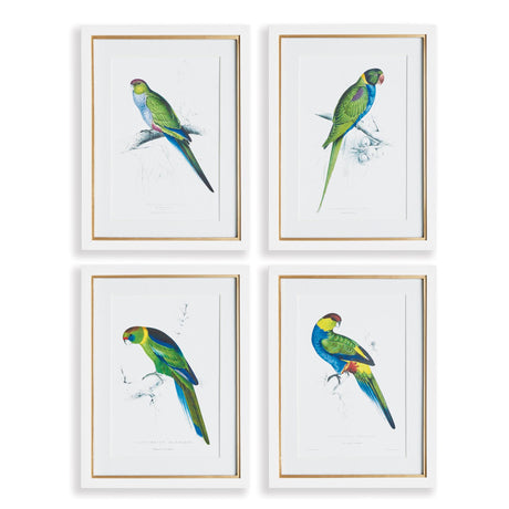 Napa Includes mat COLORFUL PARROT PRINTS, SET OF 4