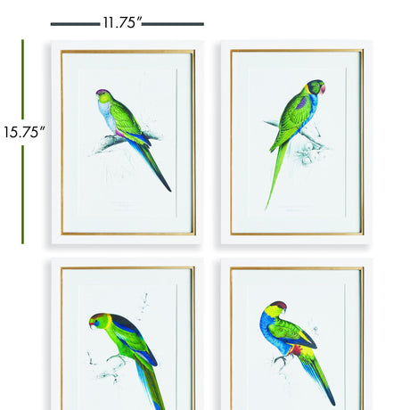 Napa Includes mat COLORFUL PARROT PRINTS, SET OF 4