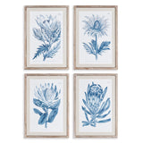 Napa Includes mat INDIGO PROTEA PRINTS, SET OF 4