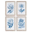 Napa Includes mat INDIGO PROTEA PRINTS, SET OF 4