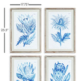 Napa Includes mat INDIGO PROTEA PRINTS, SET OF 4