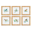 Napa Rattanwrapped frames SONGBIRD PETITE PRINTS, SET OF 6