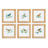 Napa Rattanwrapped frames SONGBIRD PETITE PRINTS, SET OF 6