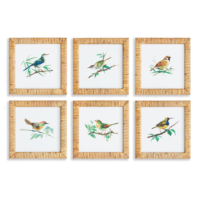 Napa Rattanwrapped frames SONGBIRD PETITE PRINTS, SET OF 6