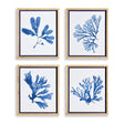 Napa  INDIGO SEAWEED PRINTS, SET OF 4