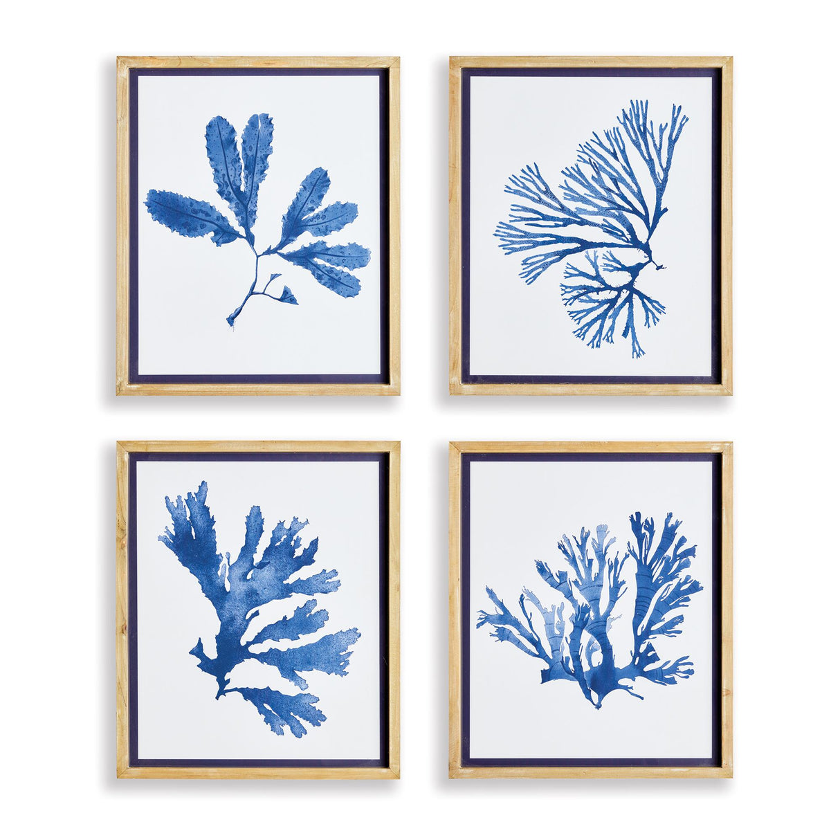 Napa  INDIGO SEAWEED PRINTS, SET OF 4