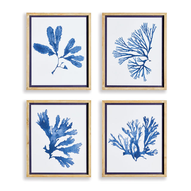 Napa  INDIGO SEAWEED PRINTS, SET OF 4
